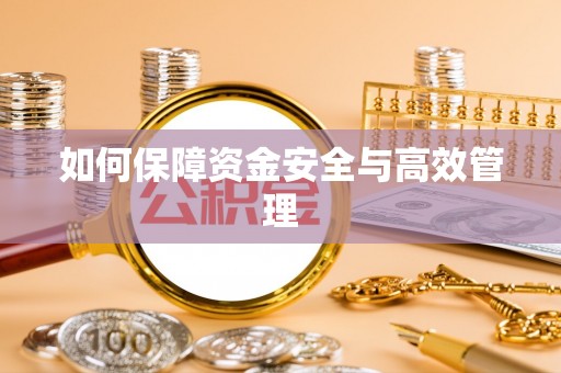 金牛如何保障资金安全与高效管理