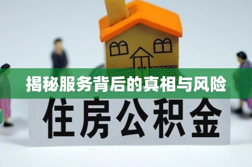 金牛揭秘服务背后的真相与风险