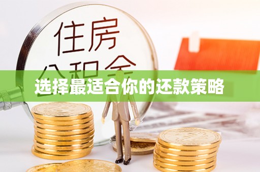 金牛选择最适合你的还款策略